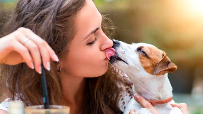 risPETtiamoli Saliva-del-cane-farsi-leccare-è-veramente-pericoloso-678x381-1 I baci del cane: solo dimostrazione di affetto? Mondo Cane  