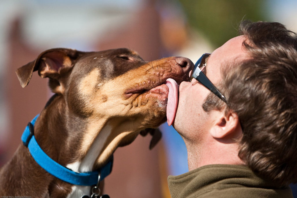 risPETtiamoli cane-lecca-malattia-1024x682 I baci del cane: solo dimostrazione di affetto? Mondo Cane  