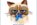 risPETtiamoli pisces-grumpy-cat OROSCO*PET: il gatto dei pesci 21/02-20/03 OROSCO*PET  