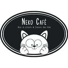 risPETtiamoli neko Neko Cafè In evidenza Mondo Gatto  