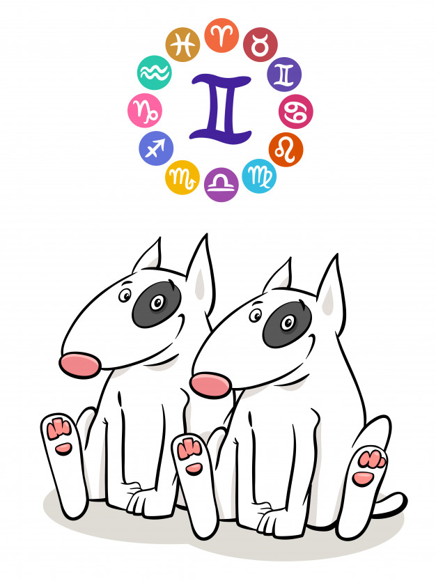 risPETtiamoli segno-zodiacale-gemelli-con-cane-dei-cartoni-animati_11460-8832 OROSCO*PET: Il cane dei gemelli 21/5-20/6 OROSCO*PET  