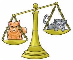 risPETtiamoli horoscopo-para-gatos-libra OROSCO*PET: il gatto della Bilancia 21/9-20/10 OROSCO*PET  