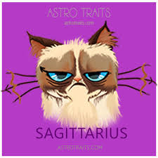 risPETtiamoli sagittario2 OROSCO*PET: il gatto del Sagittario 21-11/20-12 OROSCO*PET  